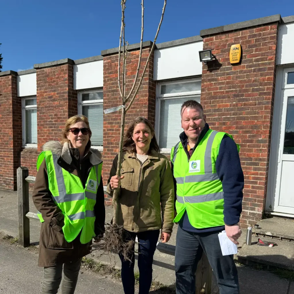 greenheal tree collection march 2026